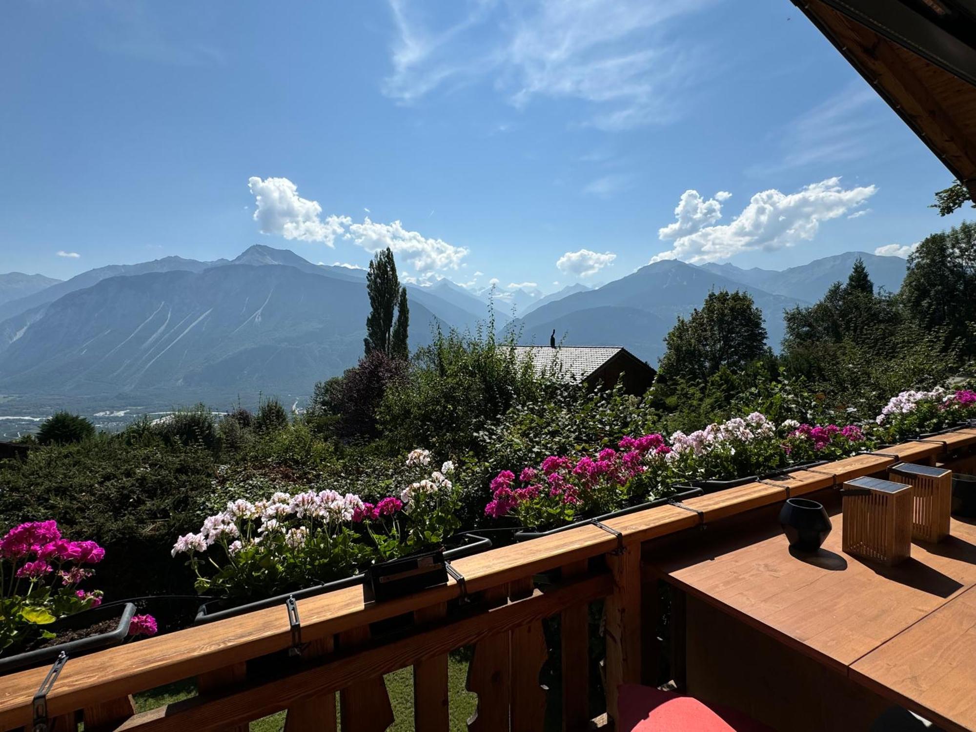 7 Luxury With Cinema Chalet